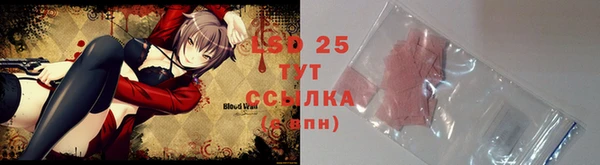 шишки Алзамай
