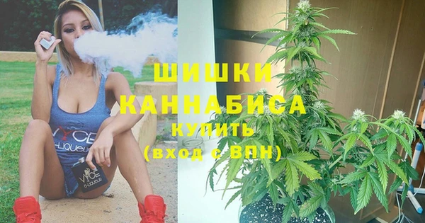 индика Нязепетровск
