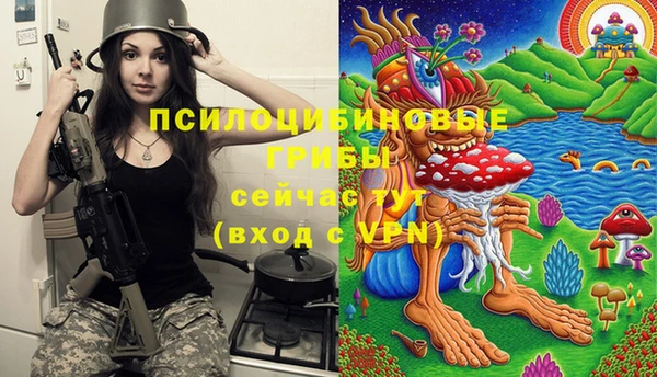 шишки Алзамай