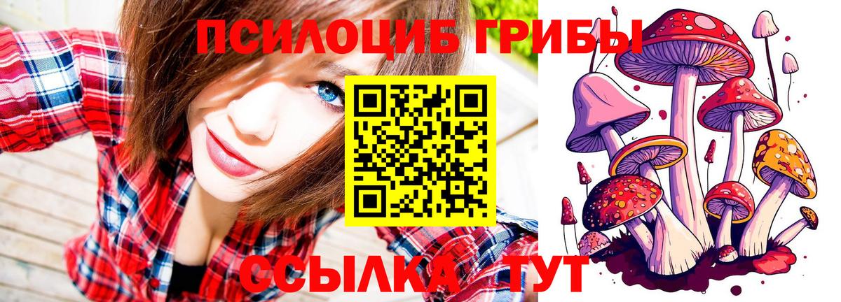 Псилоцибиновые грибы ЛСД Усть-Лабинск
