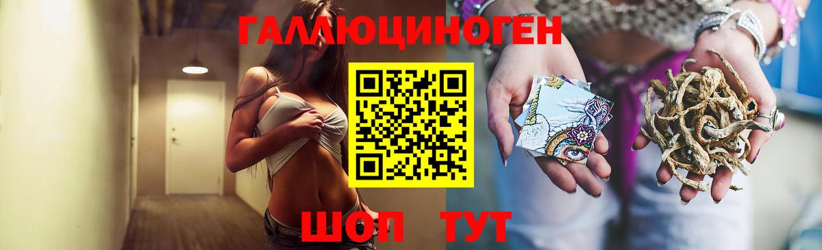 Усть-Лабинск  как найти закладки  Вход с VPN  Галлюциногенные грибы Psilocybine cubensis 